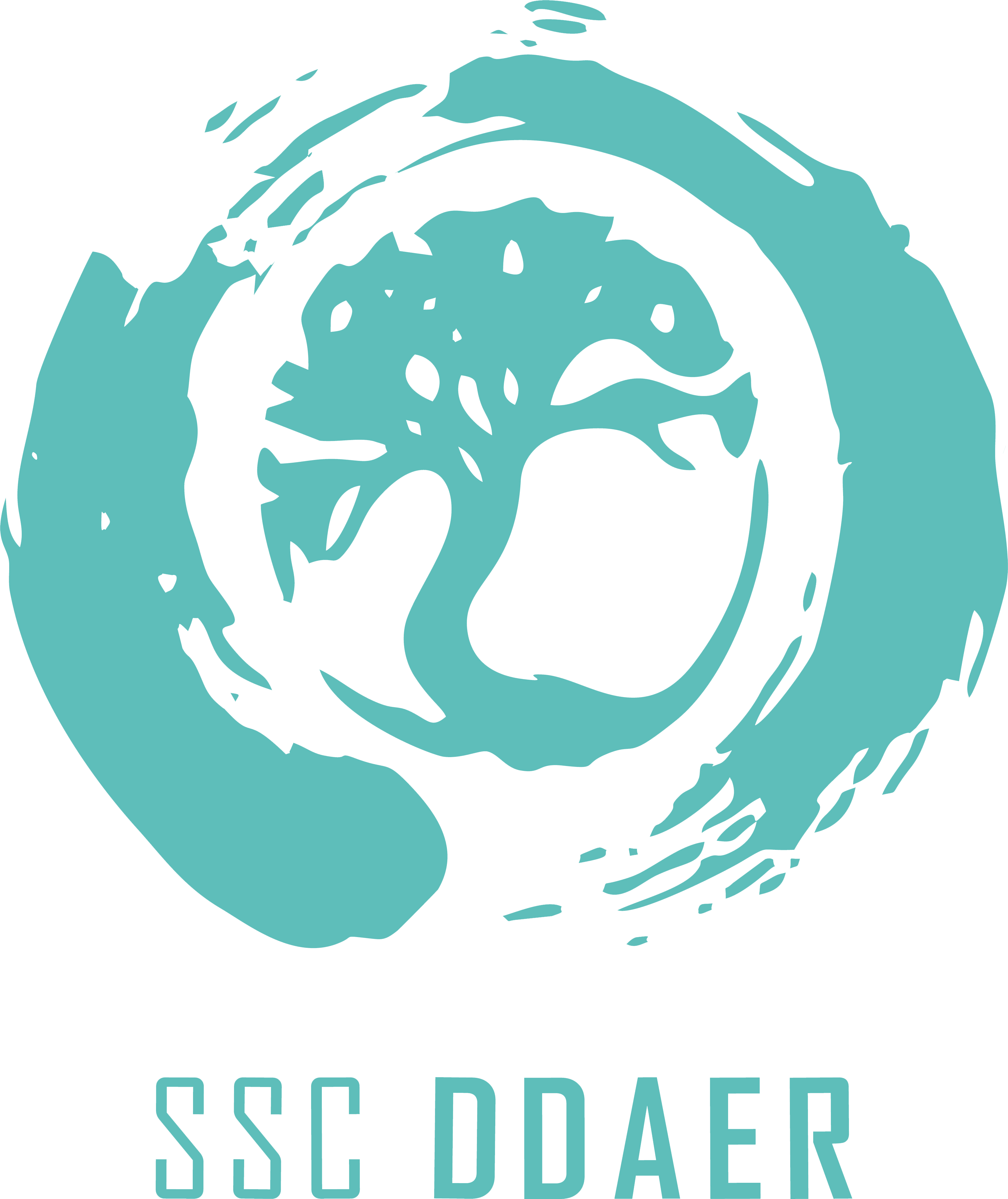 Logo-SSC-DDAER